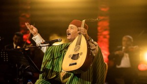 الفنان التونسي لطفي