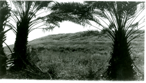 سلسلة القرى المهجرة