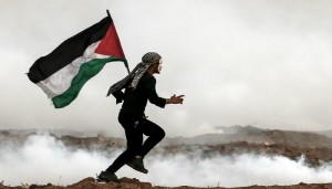 سوسيولوجيا المقاومة: