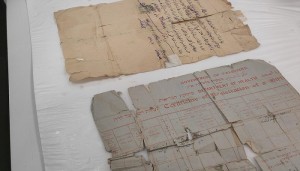 جنود مجهولون في حفظ