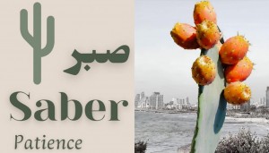 صبرنا أطول من أبراجكم