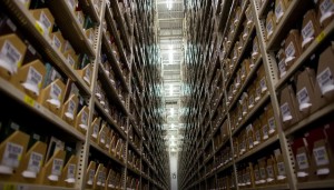 تحسبا لزوالها… هارفارد