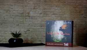 تأملات الحرب والأزمة